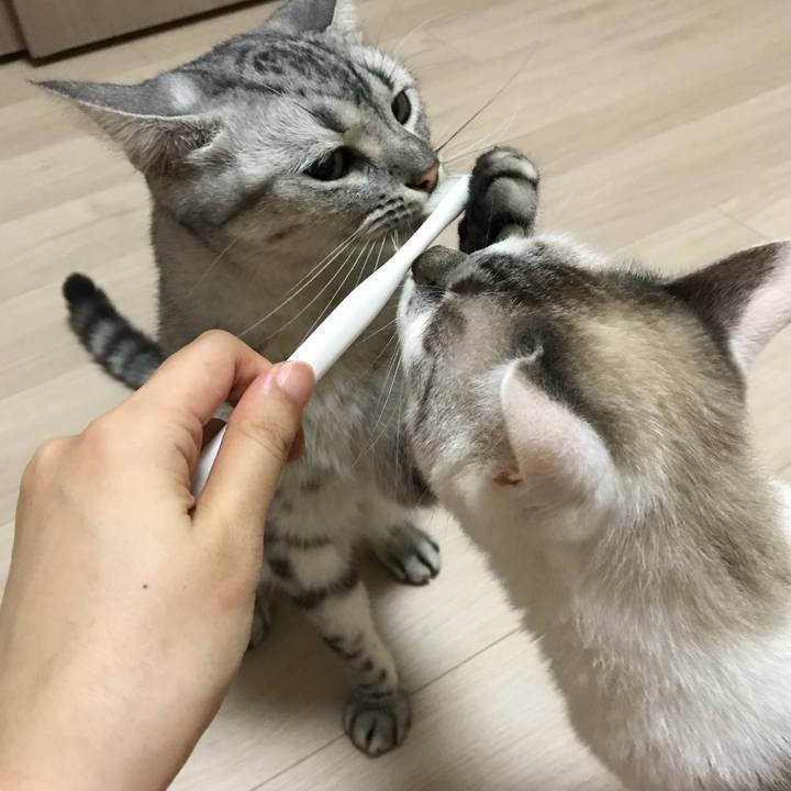 6eeb9767 3a44 475f 9c9a 4443c33e3882 1535371650918