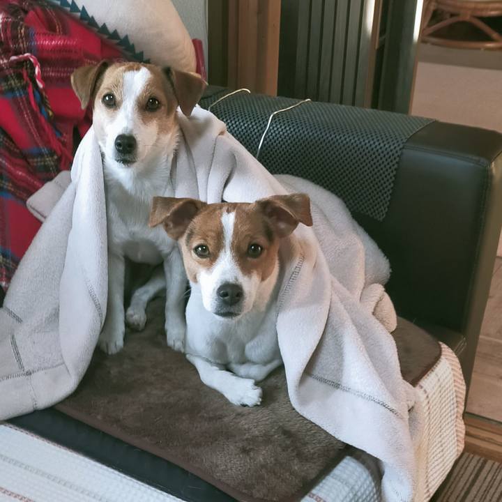 6eeba77e 6206 4ab7 815c a71562e2f9d5 1765350629297