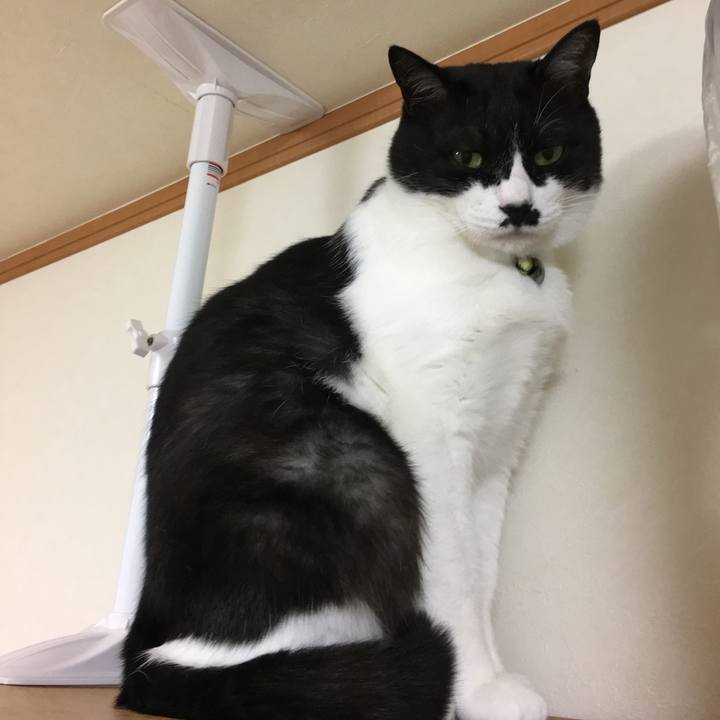 6eebc1ed ebce 4f06 9b6b 14b8aaa77e32 1508159984938