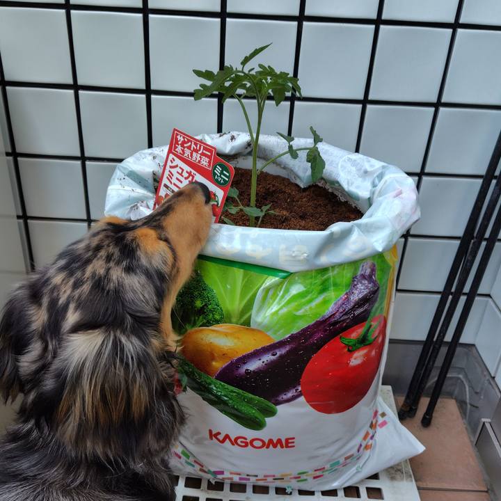 6eebcf2a 76e1 42da b645 3238261e0b41 1713089607832