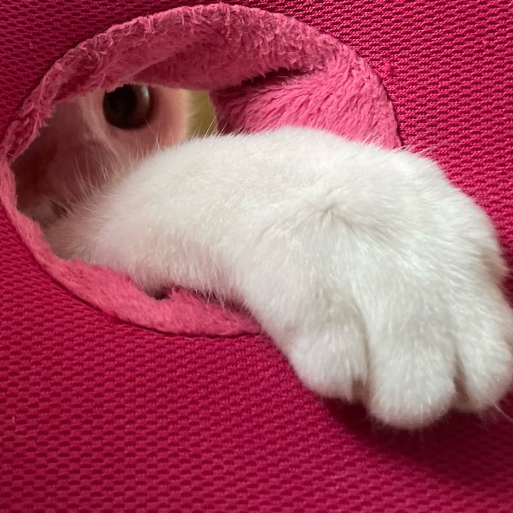 6eebf818 3285 4889 a531 1afa362341f2 1681868922791