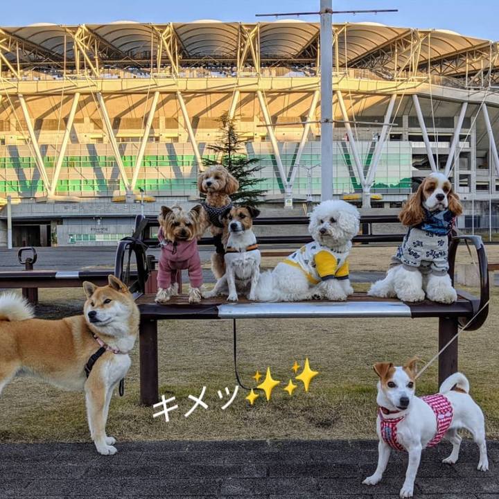 6eec0470 823f 4ab2 88bd 09567c382c06 1609151907359