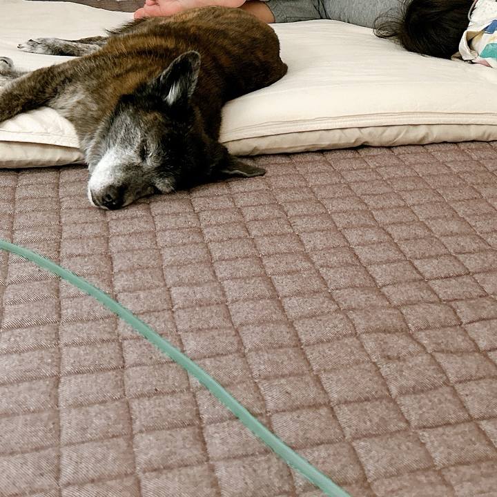 6eec077a ece5 4dca b508 cfc1410a0a02 1760969938930