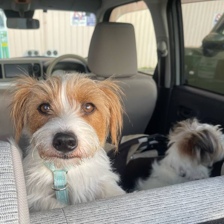 6eec18dc 8ca9 480e acf0 960a0fc5b410 1776036763914