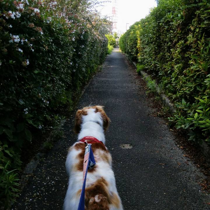 6eec63fd 7165 42de 8fae b346a2387eb4 1531531528682