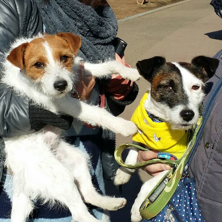 6eeca35d 740a 497c 9092 4efbb9115462 1515311114903