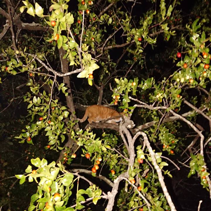 6eece079 70f2 417f 8343 bcb9b637b742 1601460521619