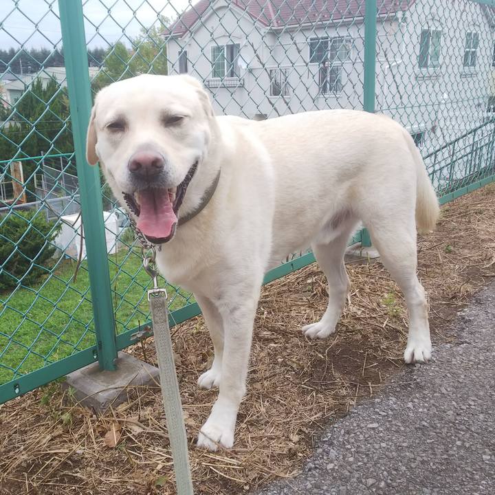 6eed000c 7f2f 4b72 9105 b333cda462fb 1568344044264