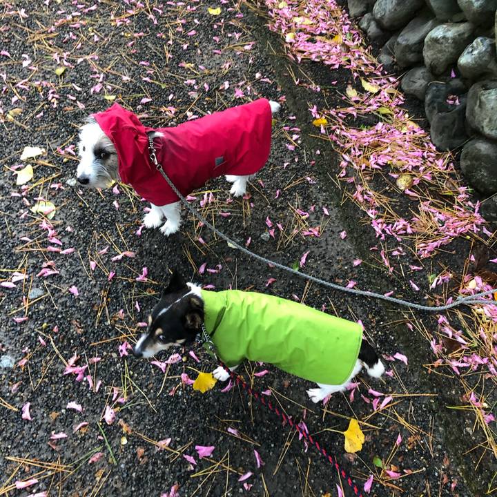 6eed0fe9 0812 4313 8e81 051edb075661 1575418446845