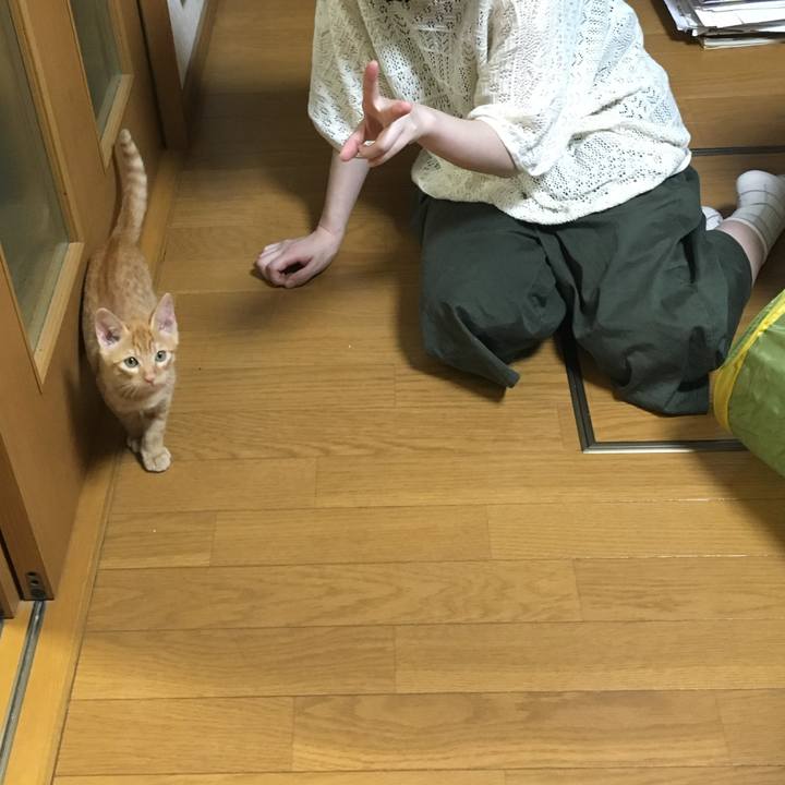 6eed13df 783c 4c2c abe6 e9cb4b39d9f8 1746138383847