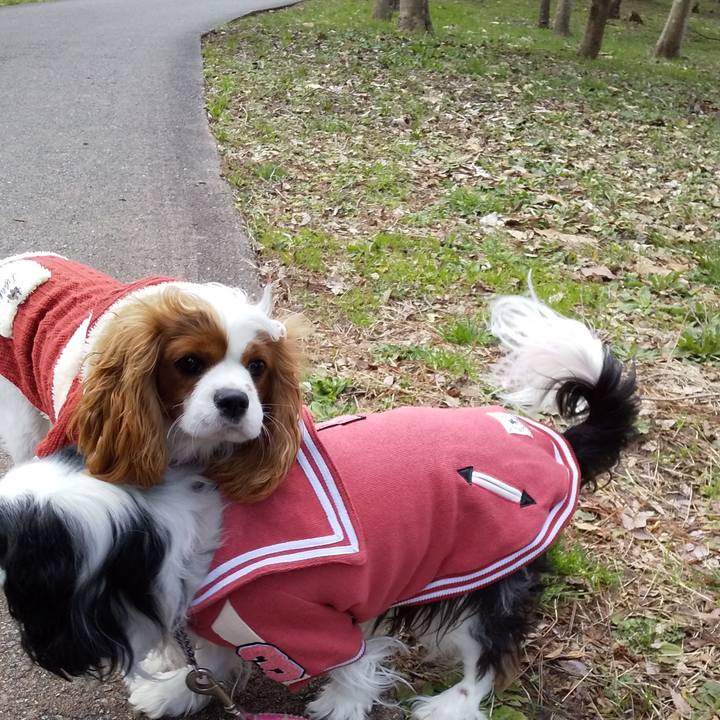 6eed2309 1e32 424c 8d63 54bef3be81b8 1582097255053