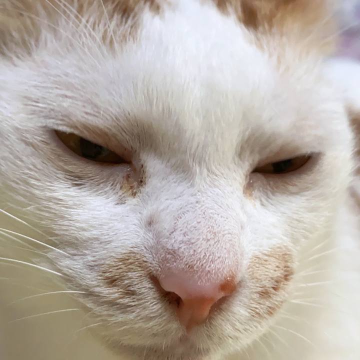 6eed2c0f 7ceb 4855 a585 8e79ea96b640 1632374897252