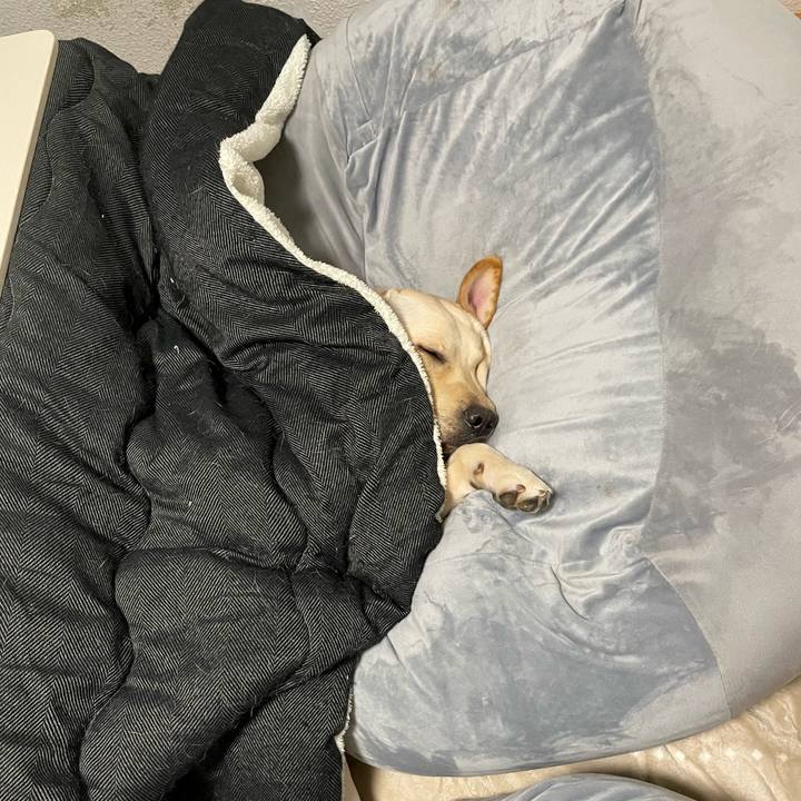 6eed5ca5 116b 4a2e b52f 888f569ce742 1640708604148