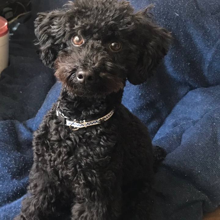 6eedb1c3 4a8a 4a5d 849b efdb31b0e8b3 1514209105094