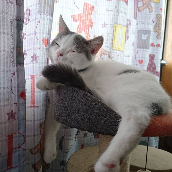 6eedd74a ab6e 414a a1e3 54e3d628fb13 1537922583339