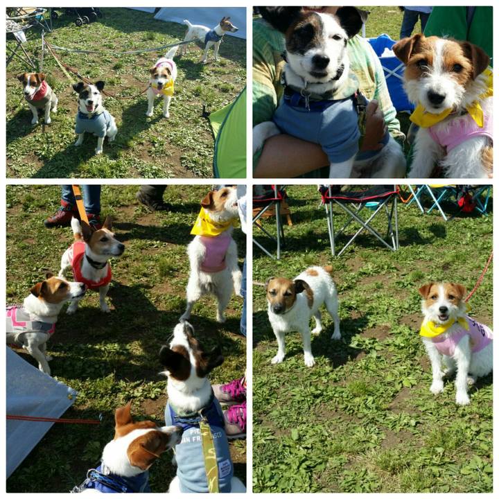 6eedf46a d685 4d68 aa26 6feec0d0c7b5 1525525043470