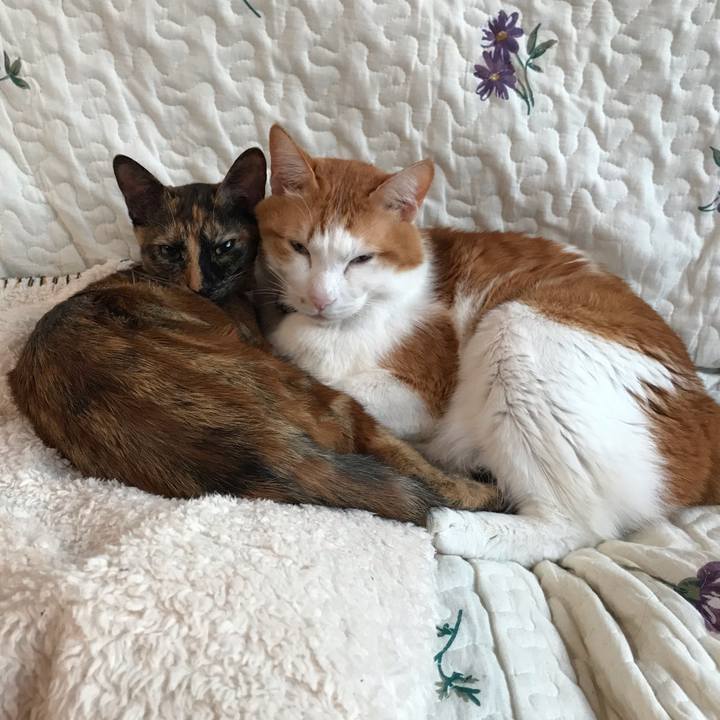 6eee4f9e ae1a 4718 8ddc e31bff181b08 1609108910494