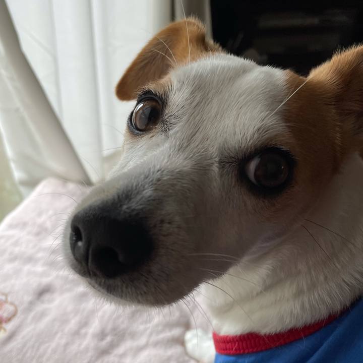 6eee59c2 1975 4273 99b1 b7f1c7d7fe96 1611806343695