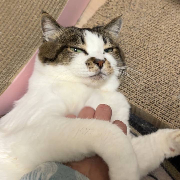 6eee645b d47f 4a26 b471 c48823a36230 1775131867967