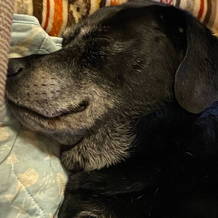 6eee675f 527f 47d3 8e78 74d51ef9991c 1657778385077