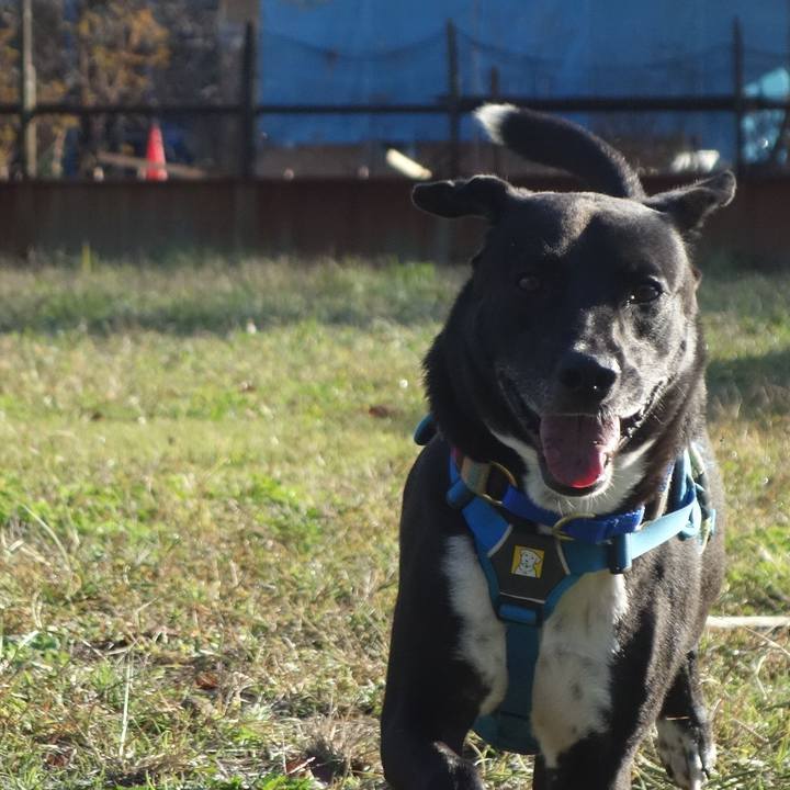 6eeecd95 3fc1 446d 802c 56297f91bea6 1636071345553