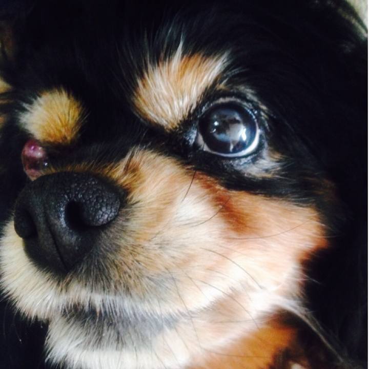 6eeee38b 1adb 4cd8 b670 b734f85726ee 1528419467812