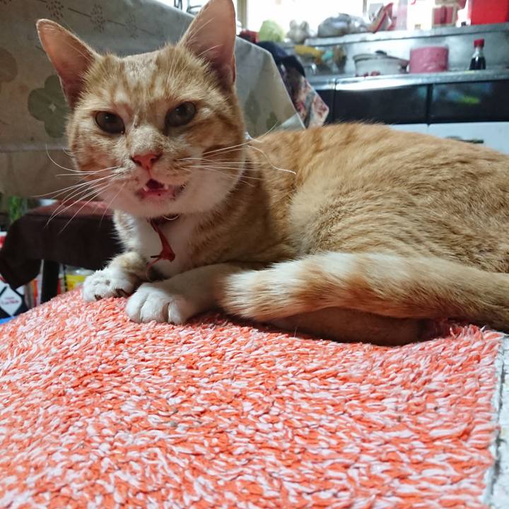 6eeef095 d996 4ea9 b78f 5f50d046df7e 1573869638645