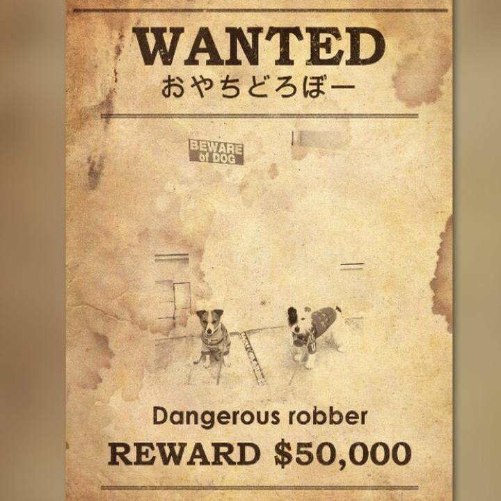 6eef0168 cae2 41d9 9a89 034fc71c9298 1542846387409