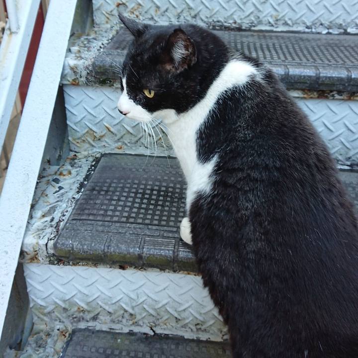 6eef18f8 82a1 4b0a ae86 7df8157c6407 1640516669426