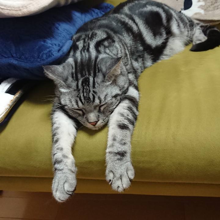 6eef1a34 b075 41db a251 3fc14493126a 1524313506577