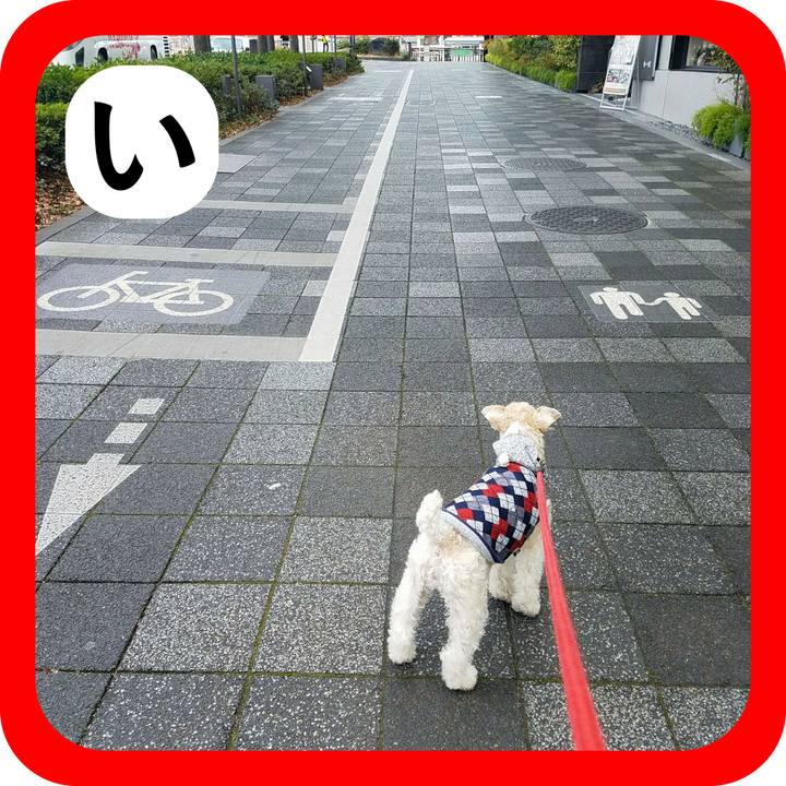 6eef215e a429 48fa a78e 1776472d2b1c 1514862485526