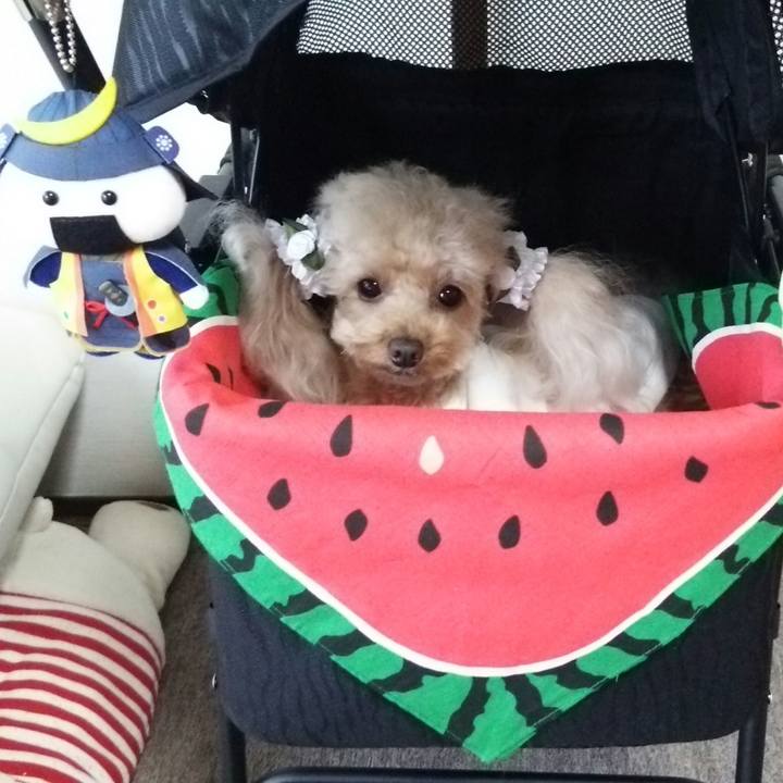 6eef25dd 7a3e 4d55 b00f 5338988c1128 1533283460952