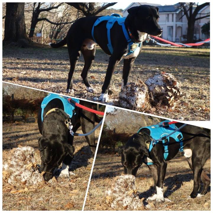 6eef25de 11a2 4f57 9e8d 8f65466cd051 1611967559079