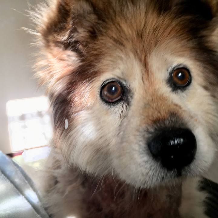 6eef76b0 bf36 4846 9372 840f7eadfaf8 1548926615808