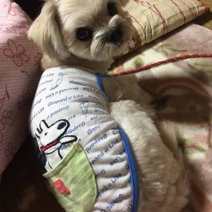 6eefad29 fb6c 4a48 a7d6 69b7bff3de52 1522066876437