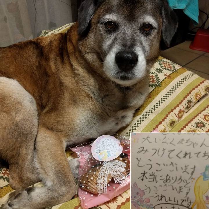 6eefcbfe 51e2 401f b259 8f48ab00c8ea 1551867386847