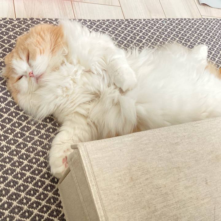 6eefd0dc 57c4 41bf badf c878a0d59406 1617456618658