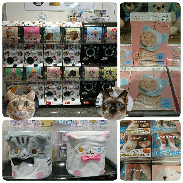 6eefd3a2 4164 40e6 b9ac afbee3c6c16d 1541296504575