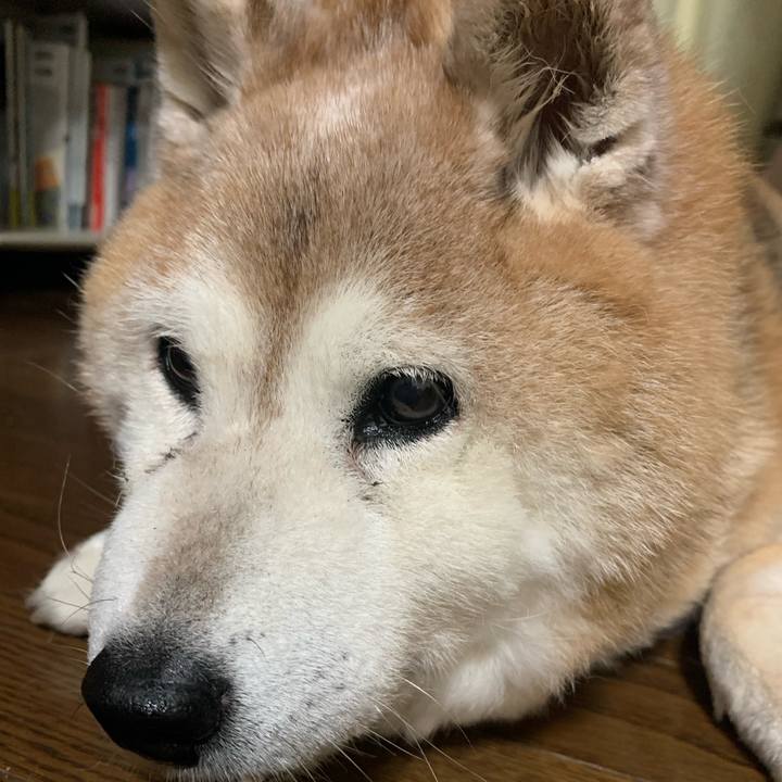 6eefdc4b be33 47e6 a5be d7a26f868cfc 1653215801626