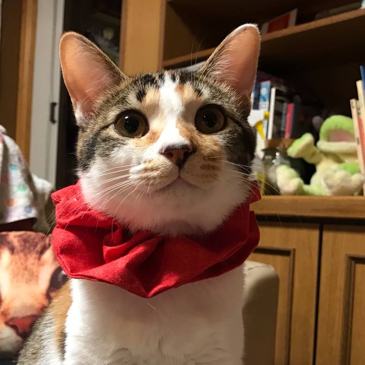 6eeffc60 5df7 40cb aaad a5b45627acf8 1619356488972