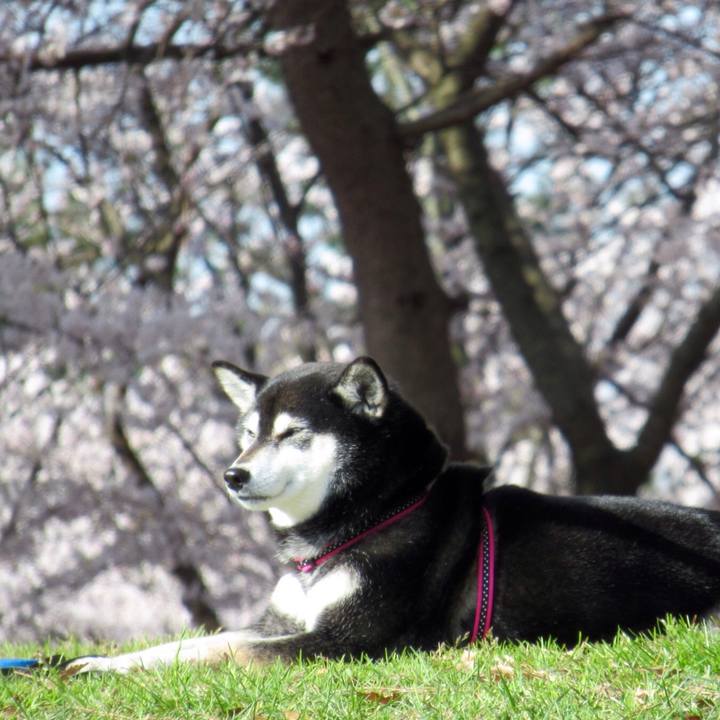 6eeffdf3 b7ac 434d 845c 9a17baed931a 1617246049261