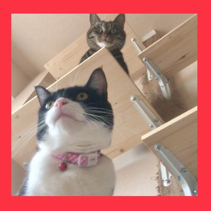 6ef02100 4b79 45df 9e87 621678f77542 1555941957897