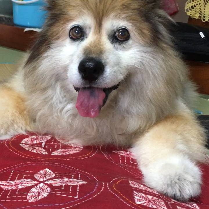 6ef02615 5a59 4801 a011 d44e4558d0bb 1598352518776