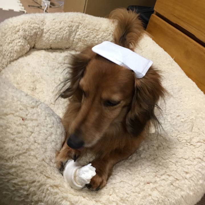 6ef02e86 ab68 4852 8e7f 88027dafae25 1551357933282