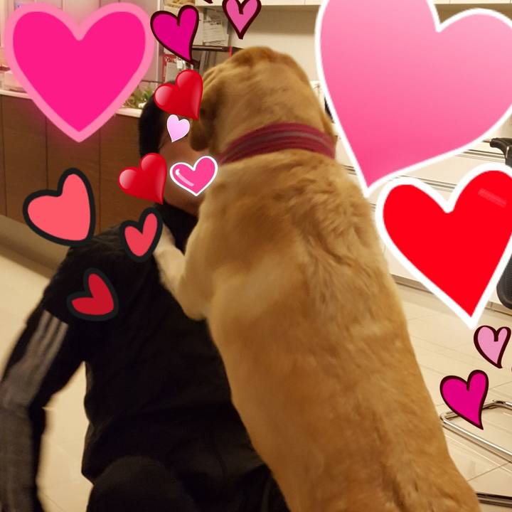 6ef02ffd 7241 4702 b690 2be157e74c46 1510493629667