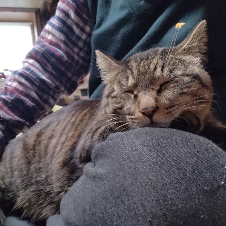 6ef0a1db 53ff 4fb0 ae86 5232806bcabf 1679731137289