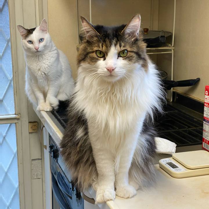 6ef0c85b 25fb 4f4f 8f6c 392db5212755 1670106683383