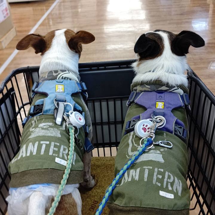 6ef1766f 3853 4241 947c cb332dc7f6ca 1668933371250