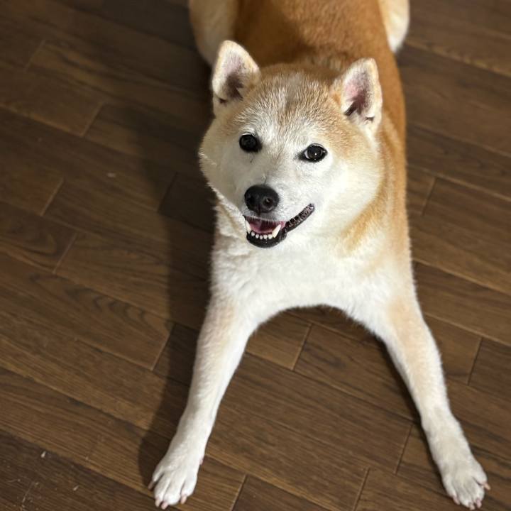 6ef1bd35 f1d7 46b5 a840 263ac7e40622 1755810341662