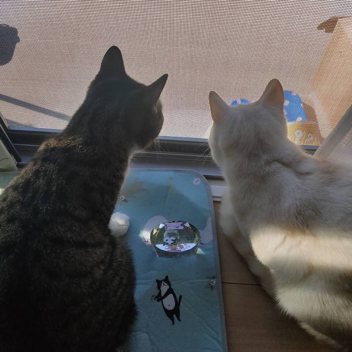 6ef24c13 6260 415c a662 9916f38ceb18 1652135668546